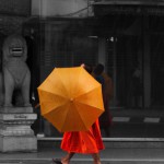 Mönch Regenschirm